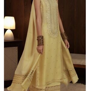 Indian Pakistani outfit